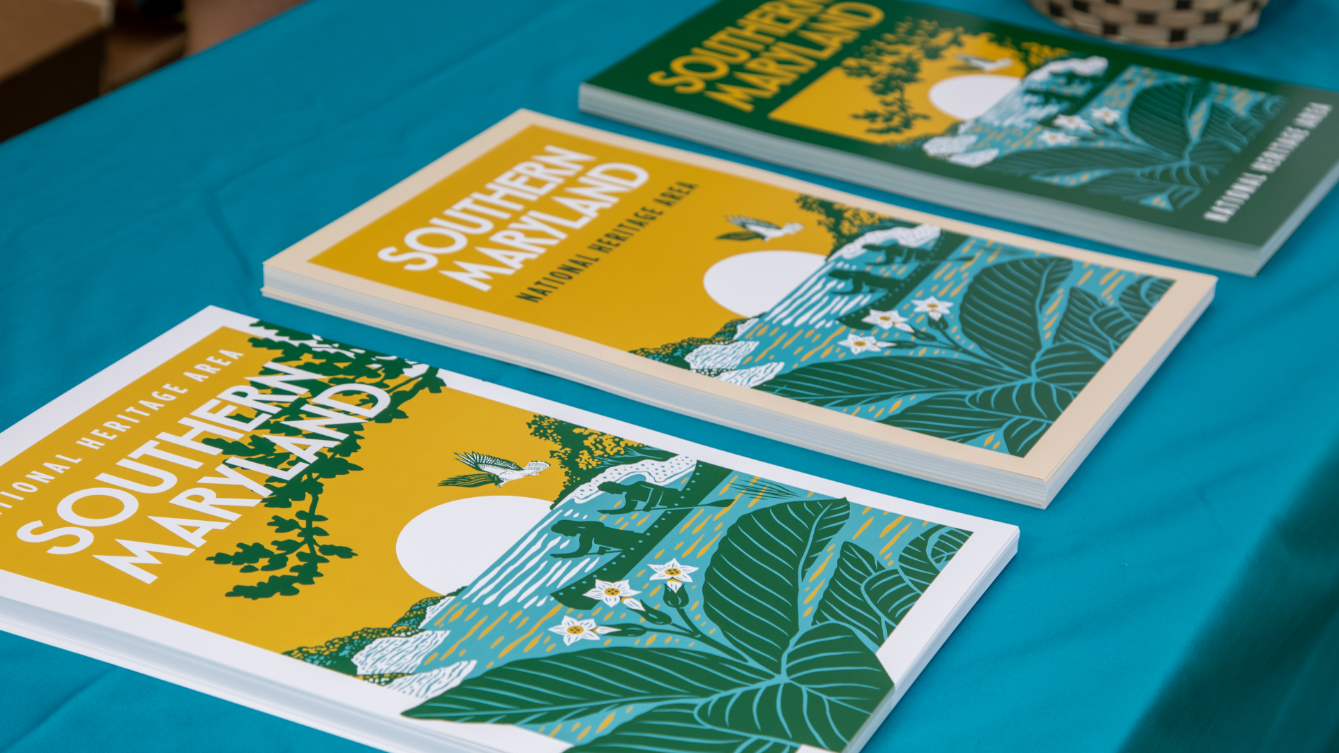 Posters distributed during the event