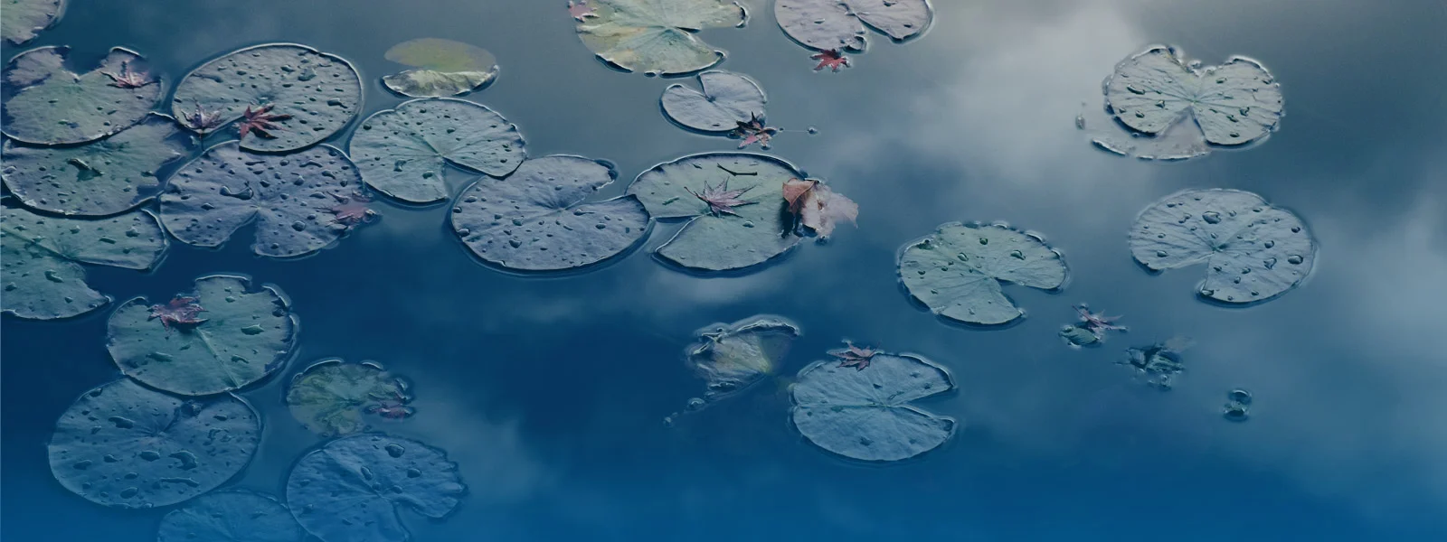 Photo: Sora Sagano