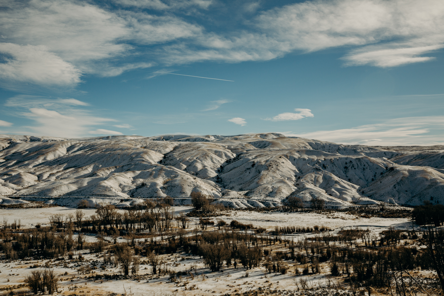 erin-wheat-co-filsonfinley-6245.JPG