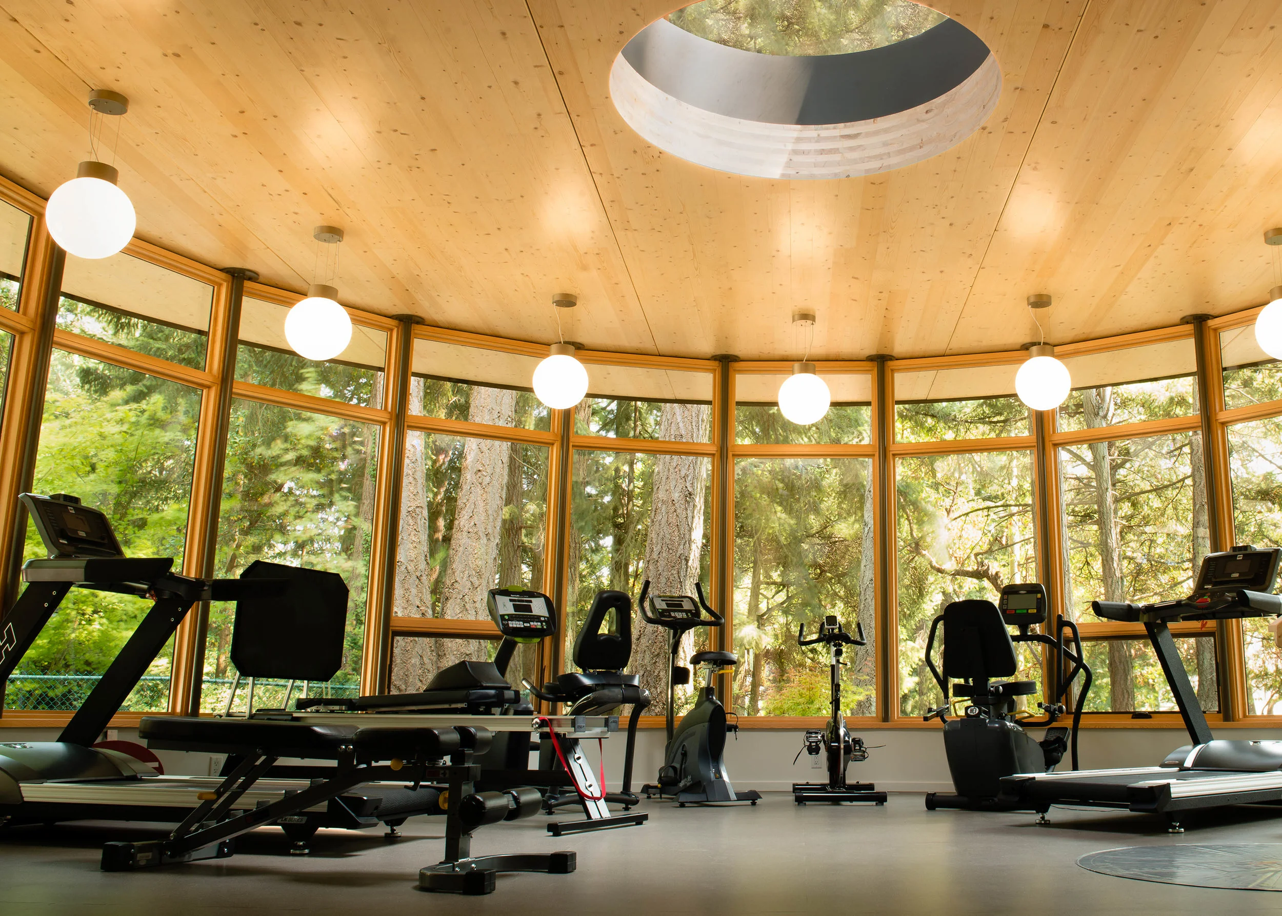 Tall Tree Physio, Gym (AES Website).jpg