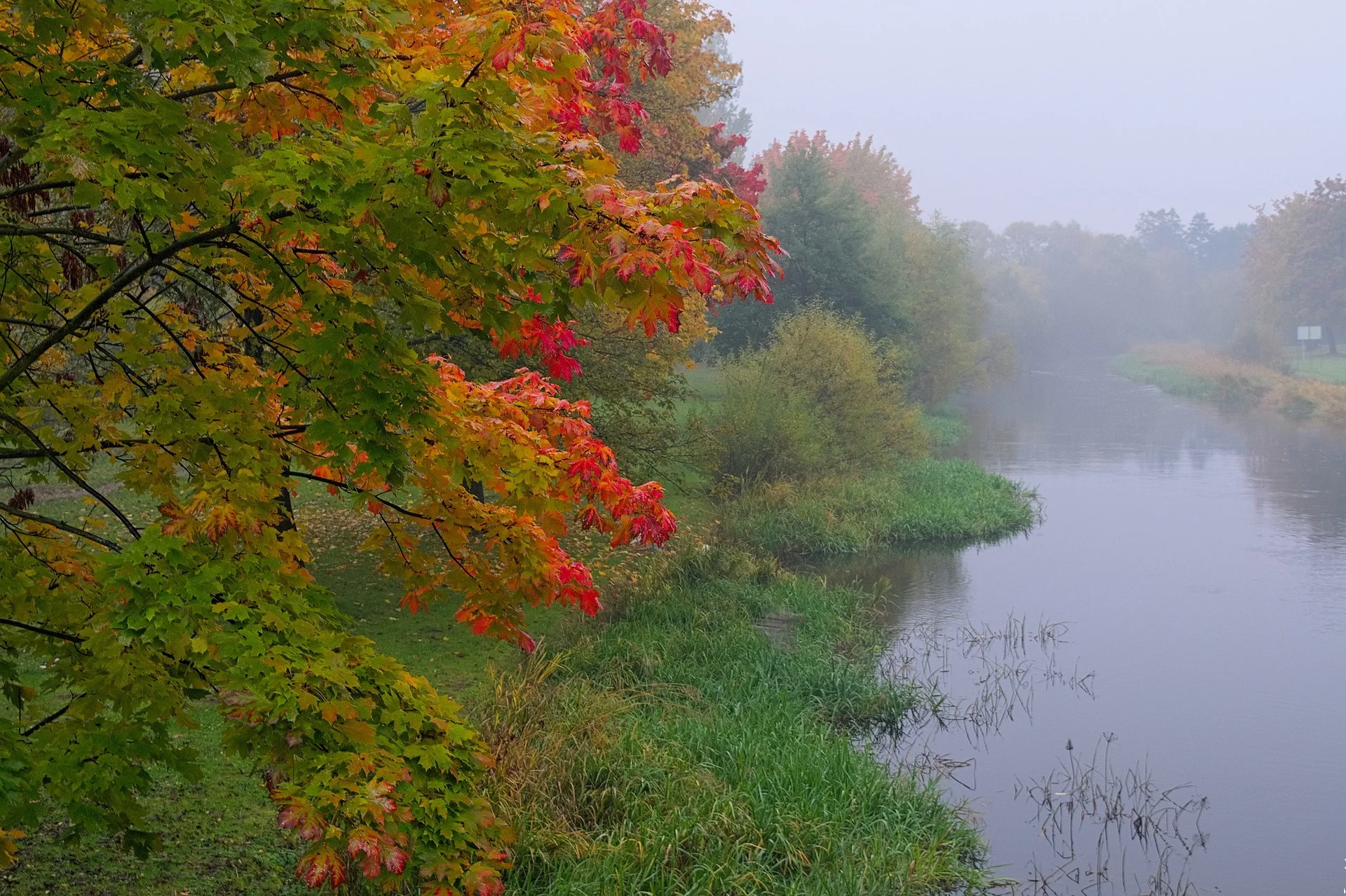 the-fog-2723356_1920.jpg