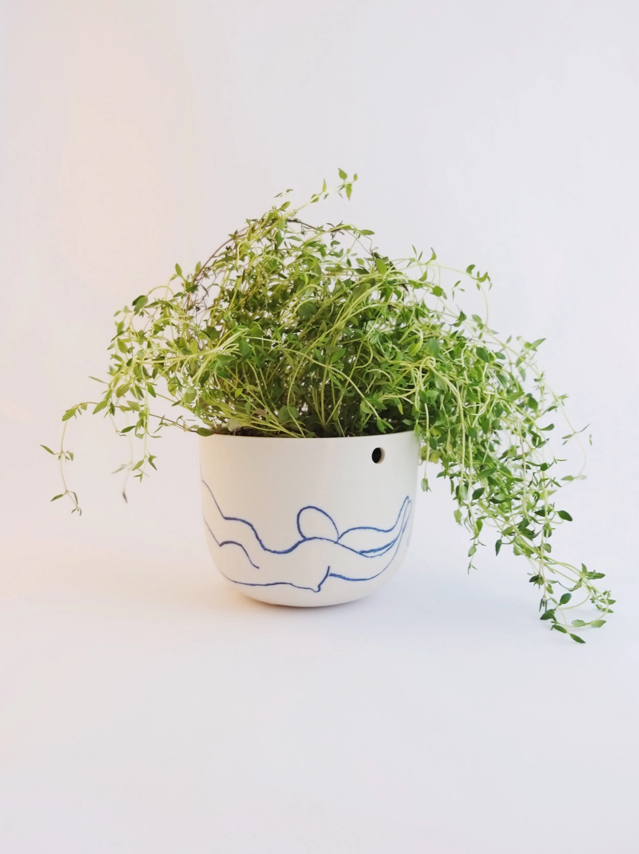 Small Nude Line Drawn Planter