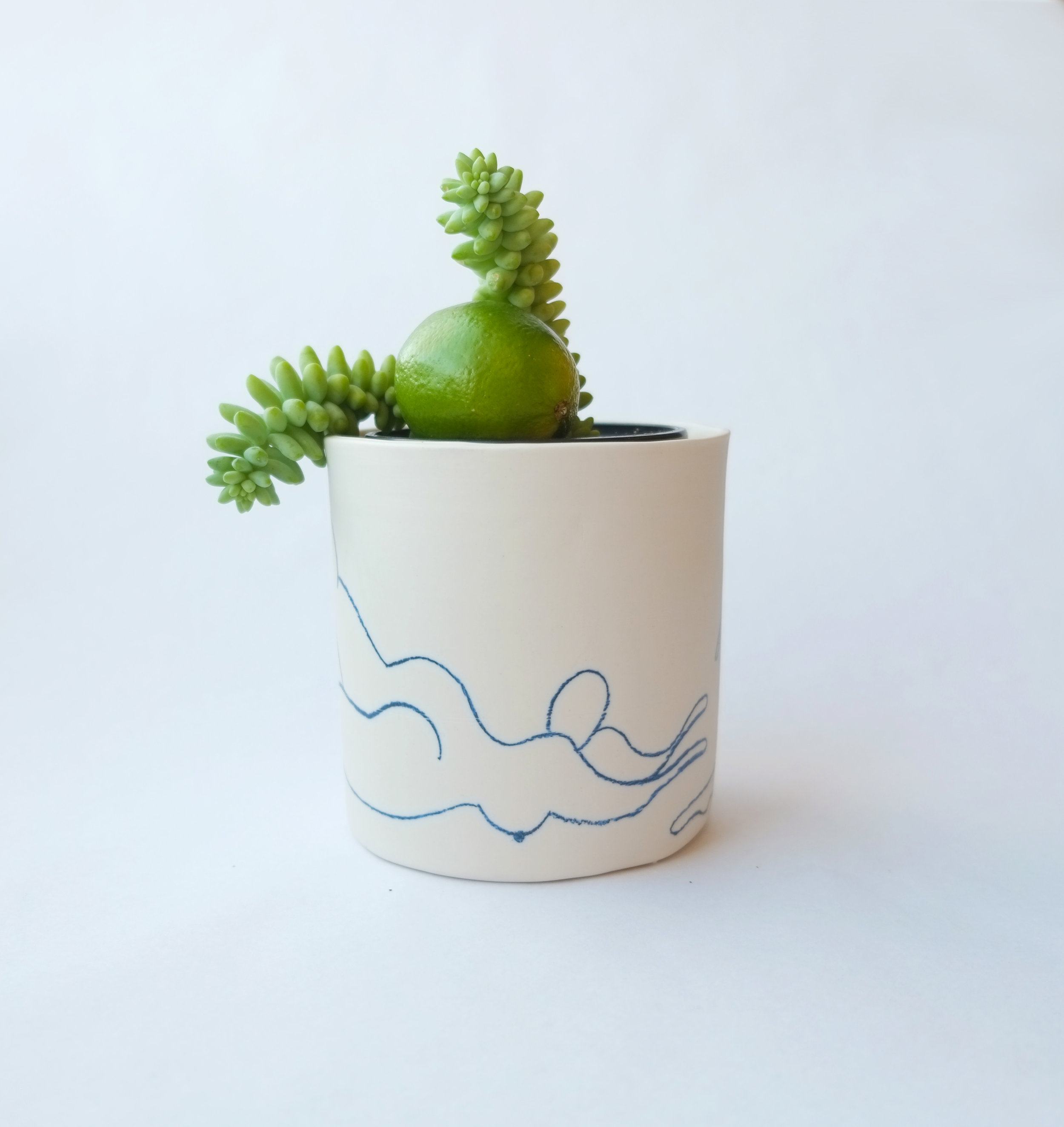 NUDEPLANTER.jpg