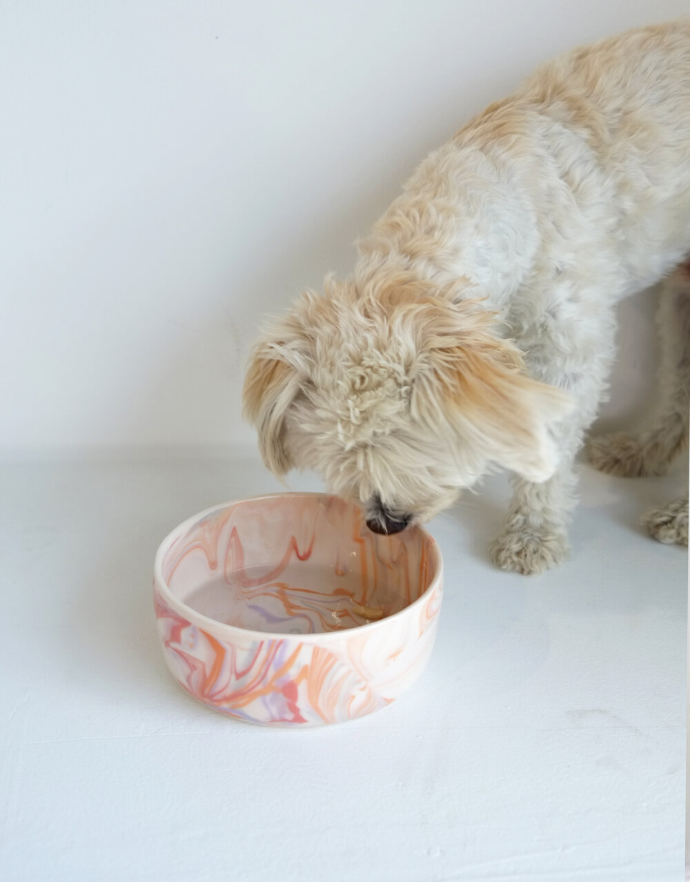 Lisbon Marble Pet Bowl - Designer Dog Bowls and Ceramic Pet Dishes