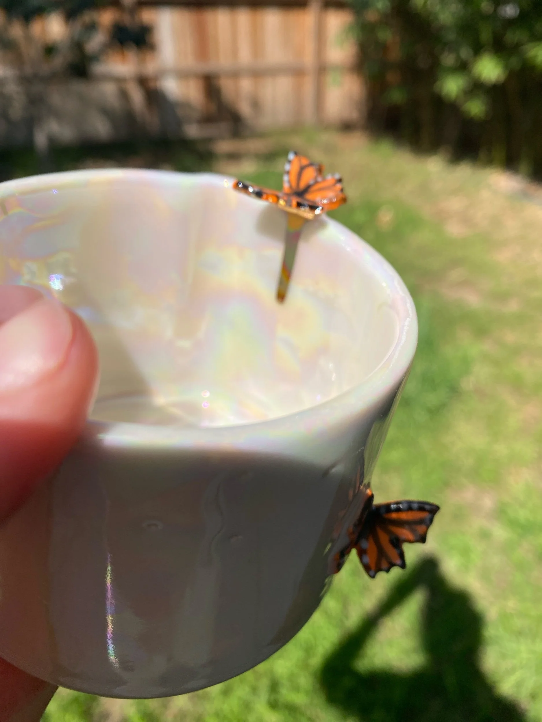 C3114B68-AD3F-4F9B-81CA-1BAA2886A1EE.jpeg