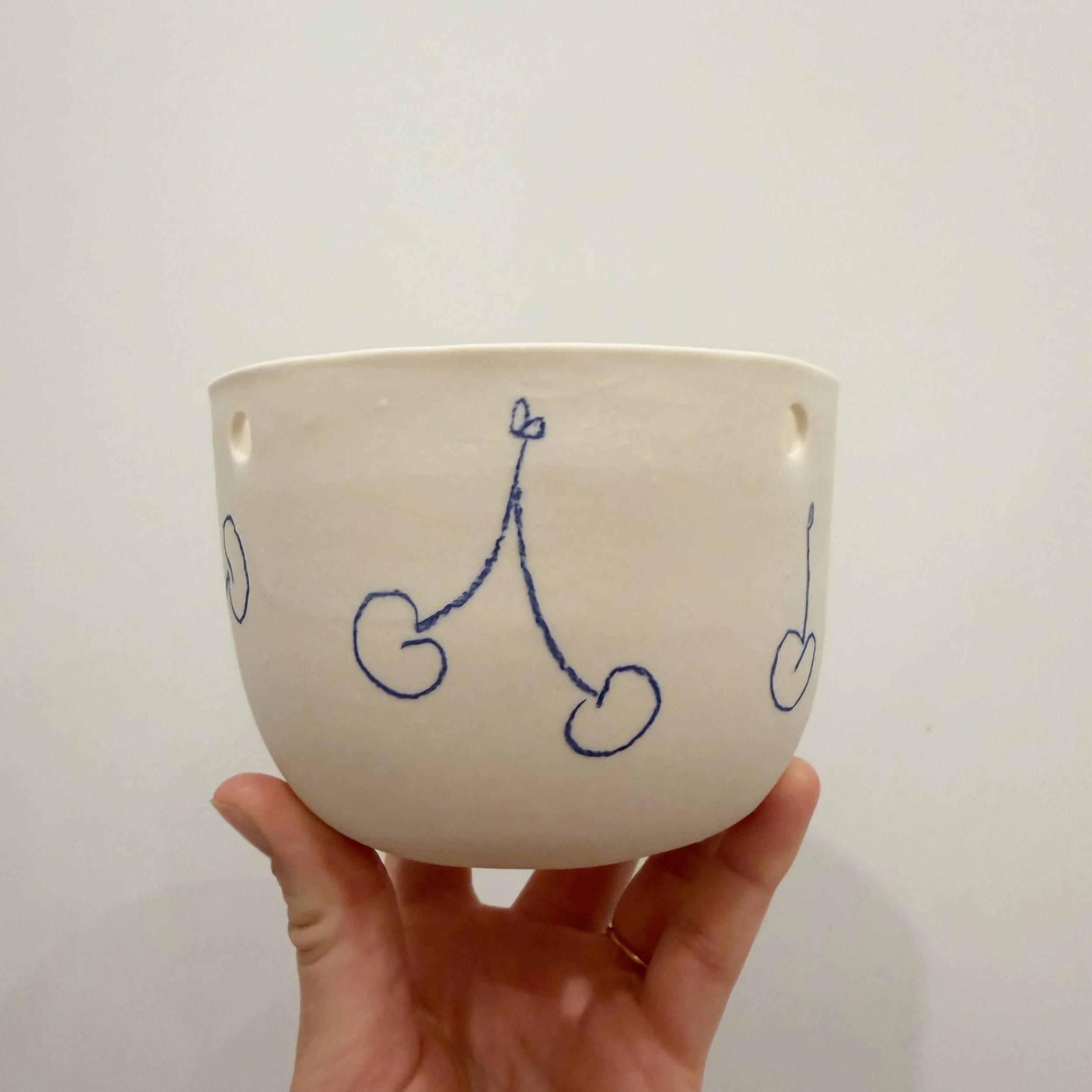 Small fruit Planter
