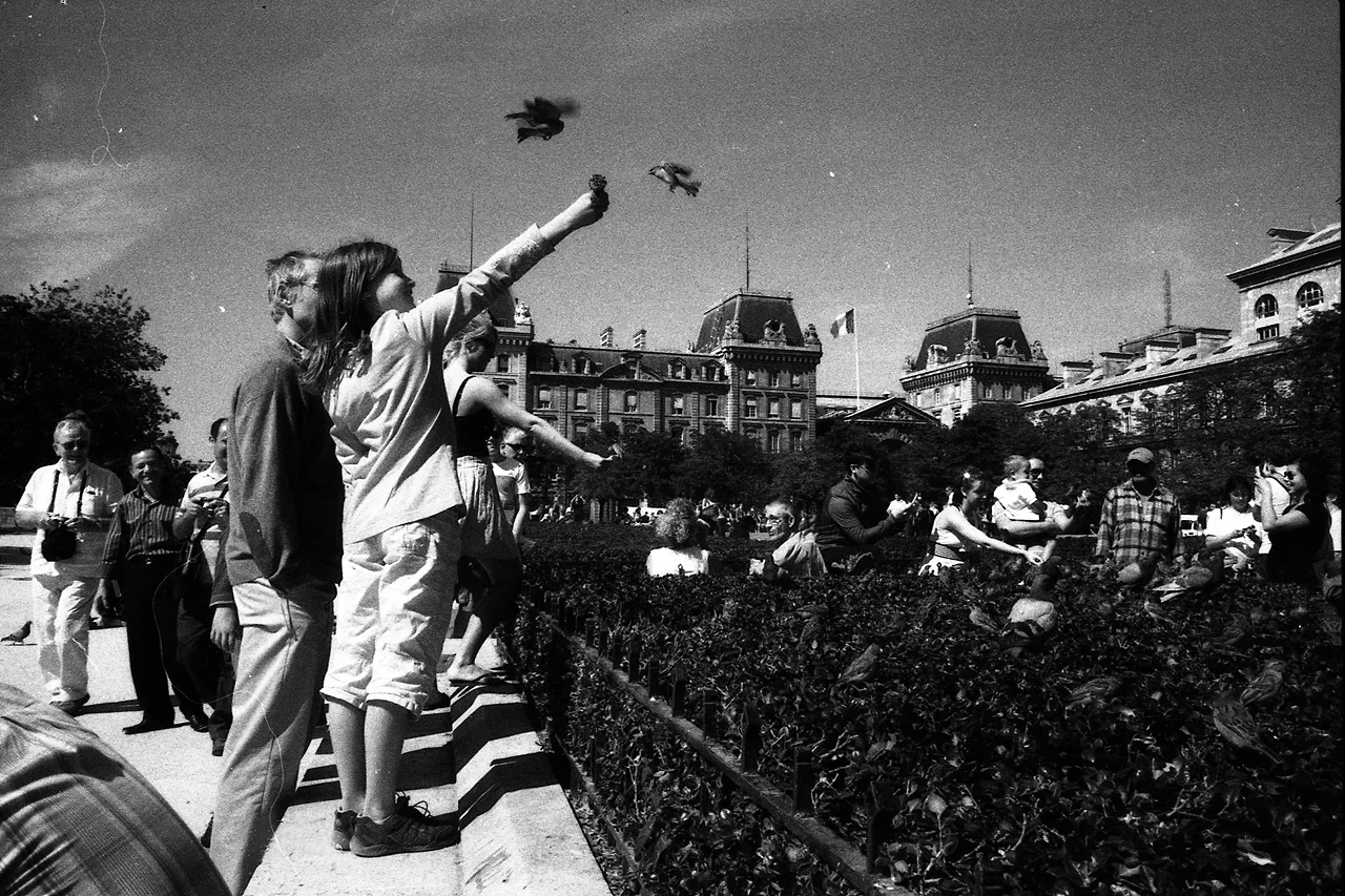 paris.jpg