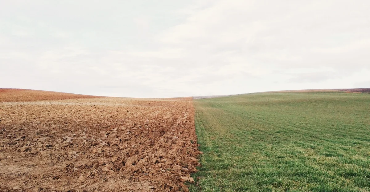 Life or Death: A Look at My Choice