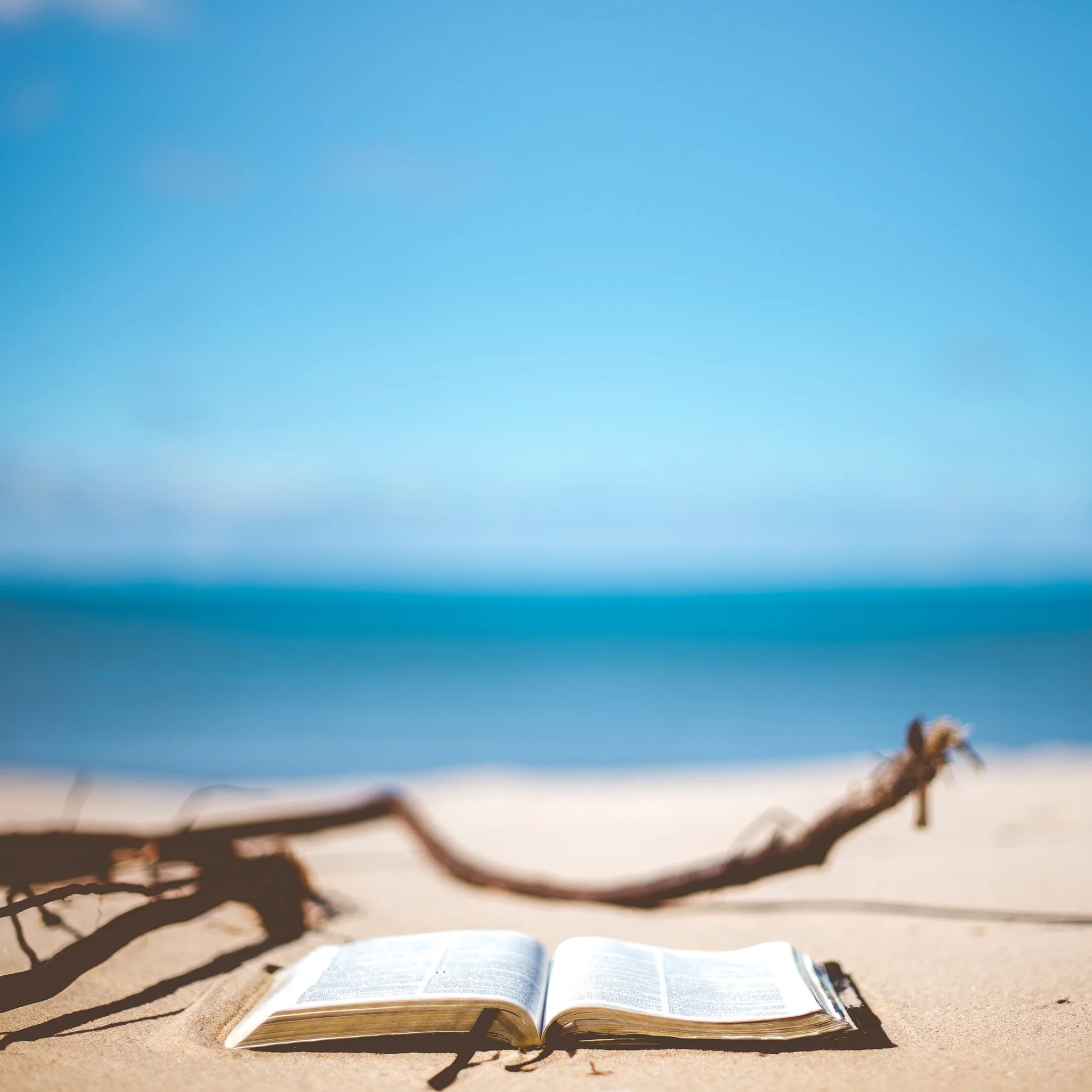 The Herald of Christ: The BIG Picture