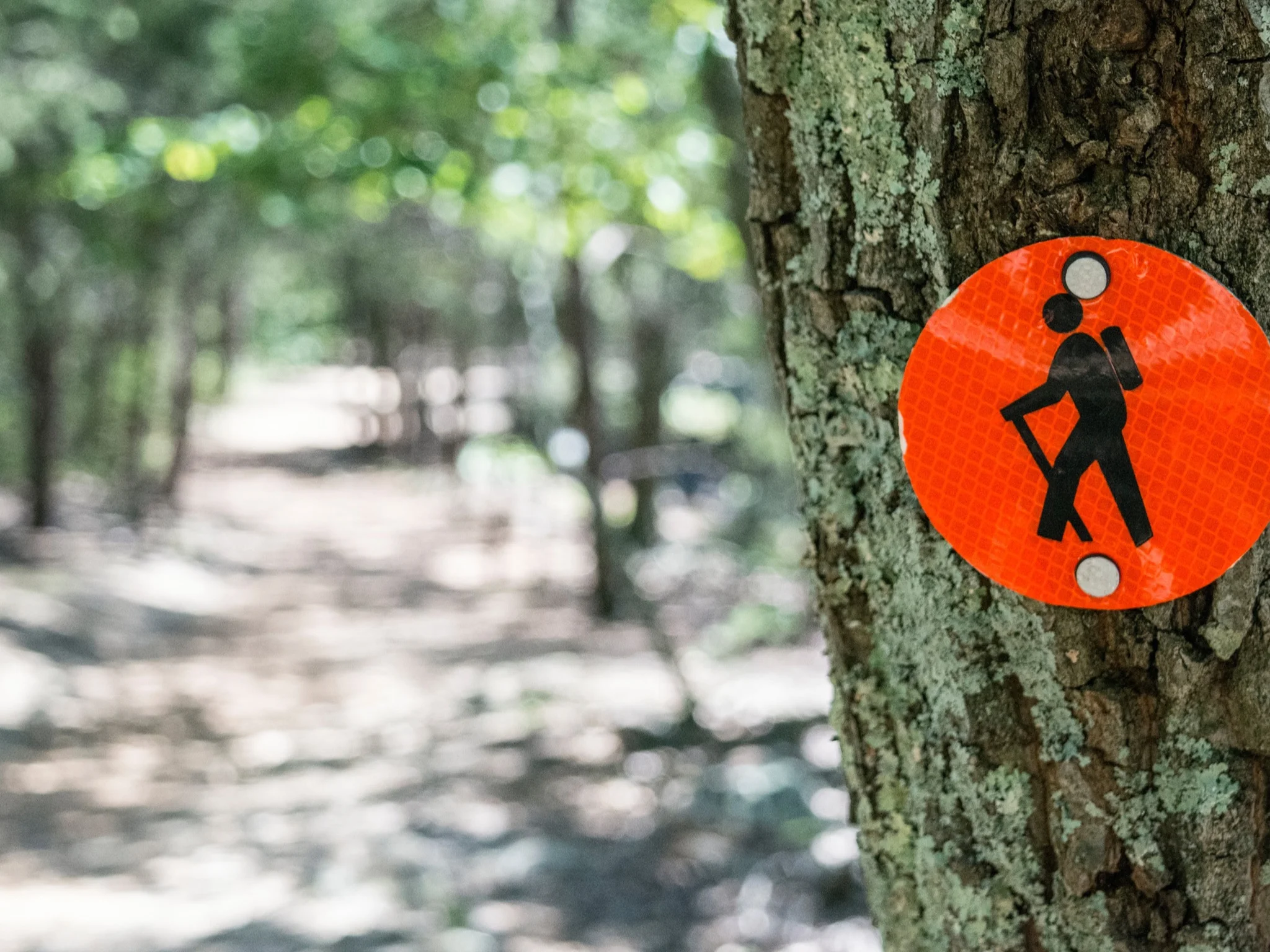 When We Put The Do Before The Who