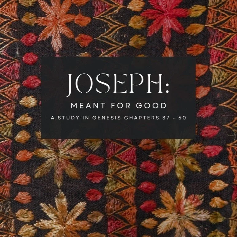 Joseph: Meant for Good