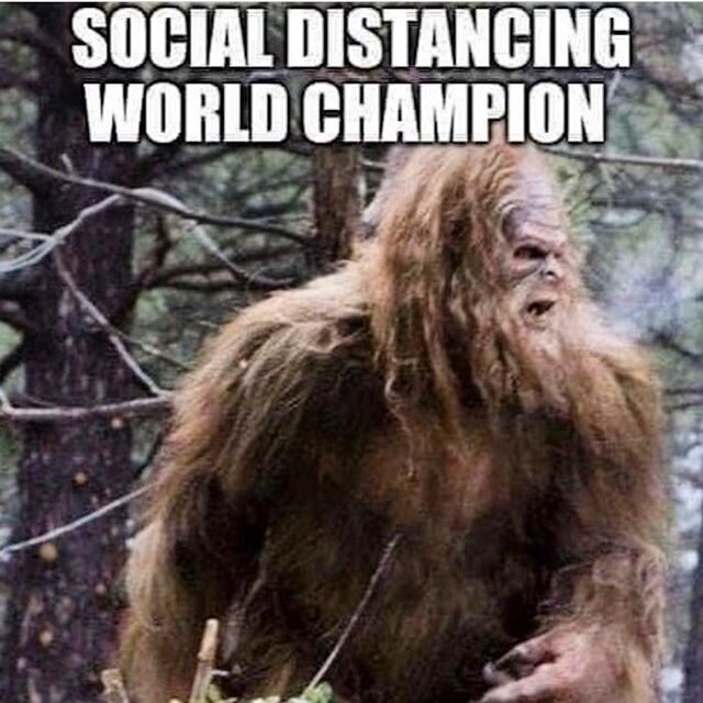 Hello Lodgers! We hope you&rsquo;re all staying safe and staying sane! Don&rsquo;t forget to purchase a 1933 Group Dining Bond! An $80 bond gets you $100 worth of booze and all proceeds go to helping out our staff. Link is in our bio. Choose Bigfoot 