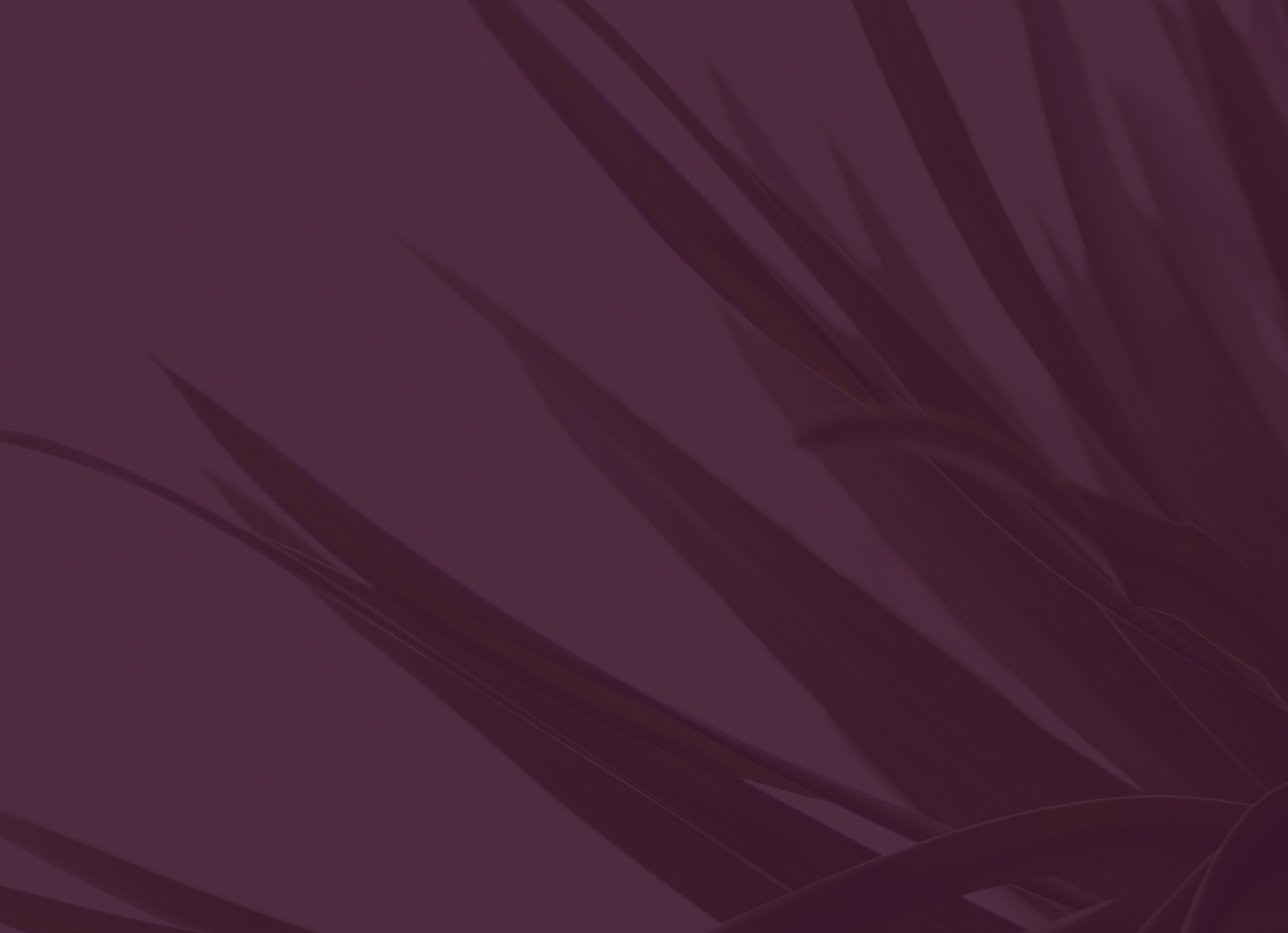 LCB-Newsletter-Pic-v2.jpg