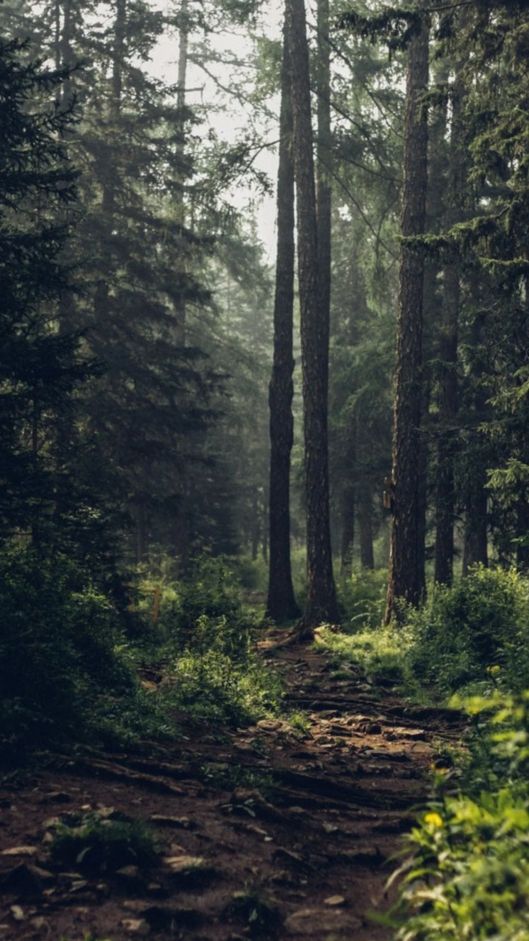 E-Course | Song Journaling with a Full Heart