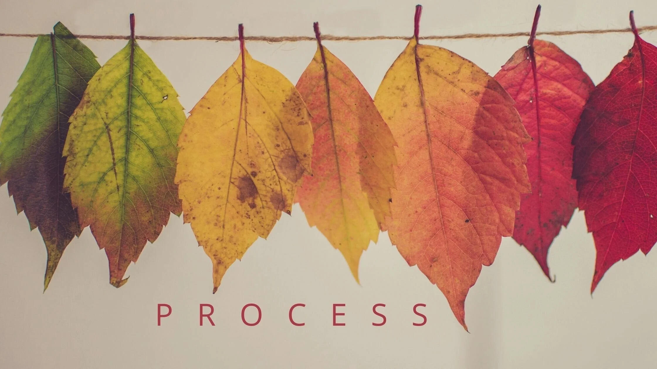 Songwriting as a work in PROCESS.