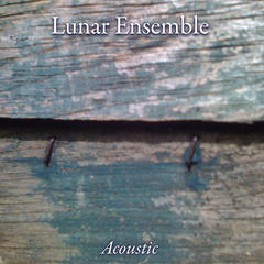 Lunar Ensemble Acoustic Music @ the Nuyorican Poets Café 7/23/09