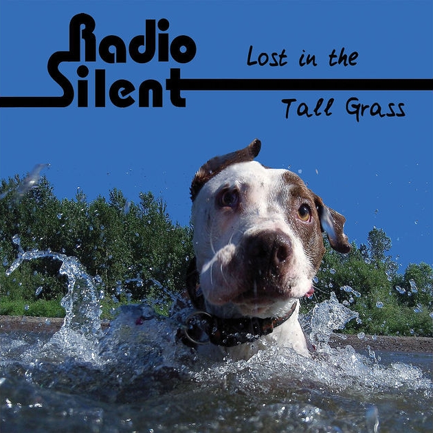 Radio Silent - Lost in the Tall Grass