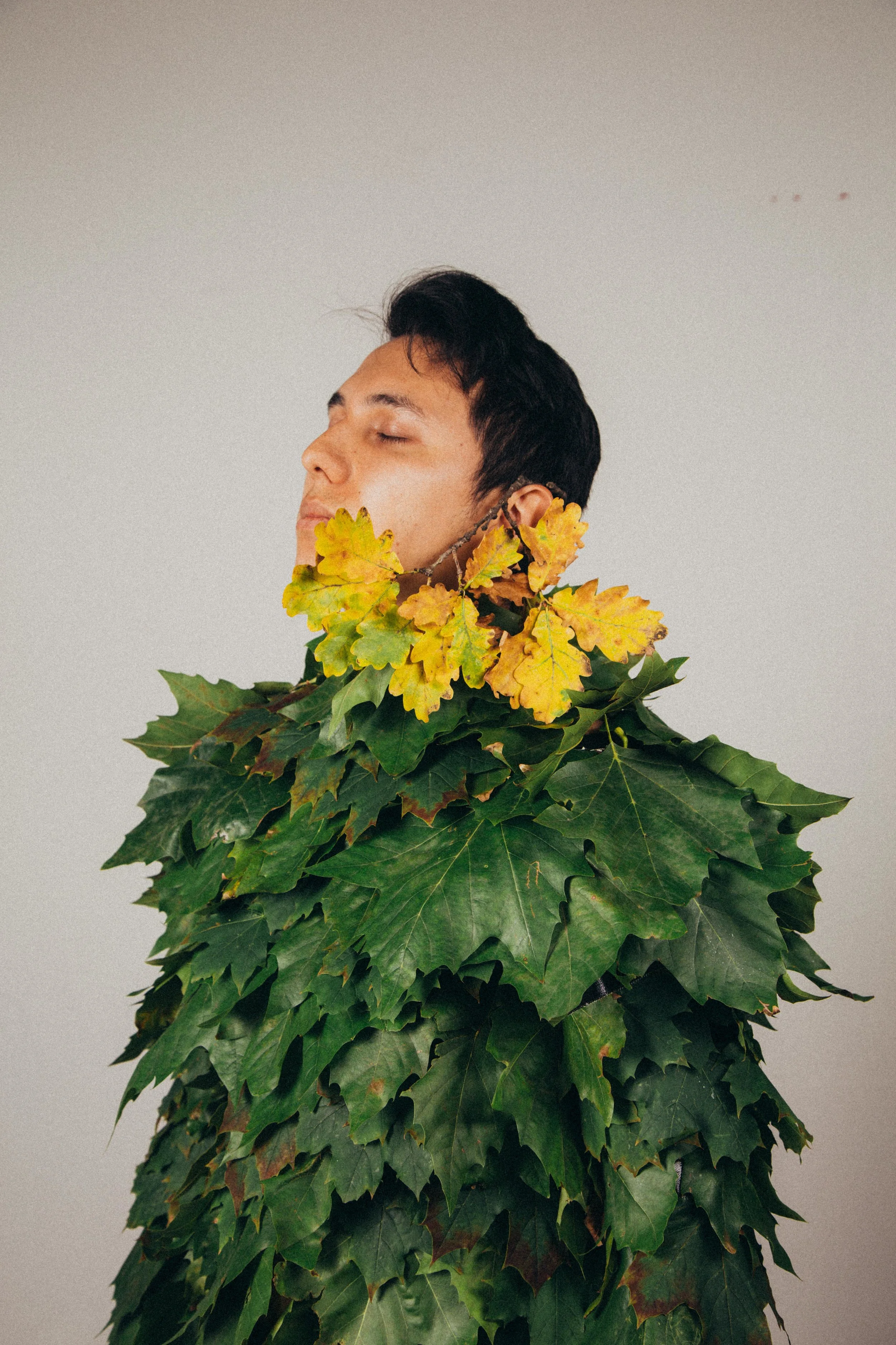 Photo by Ari Snow, 2017