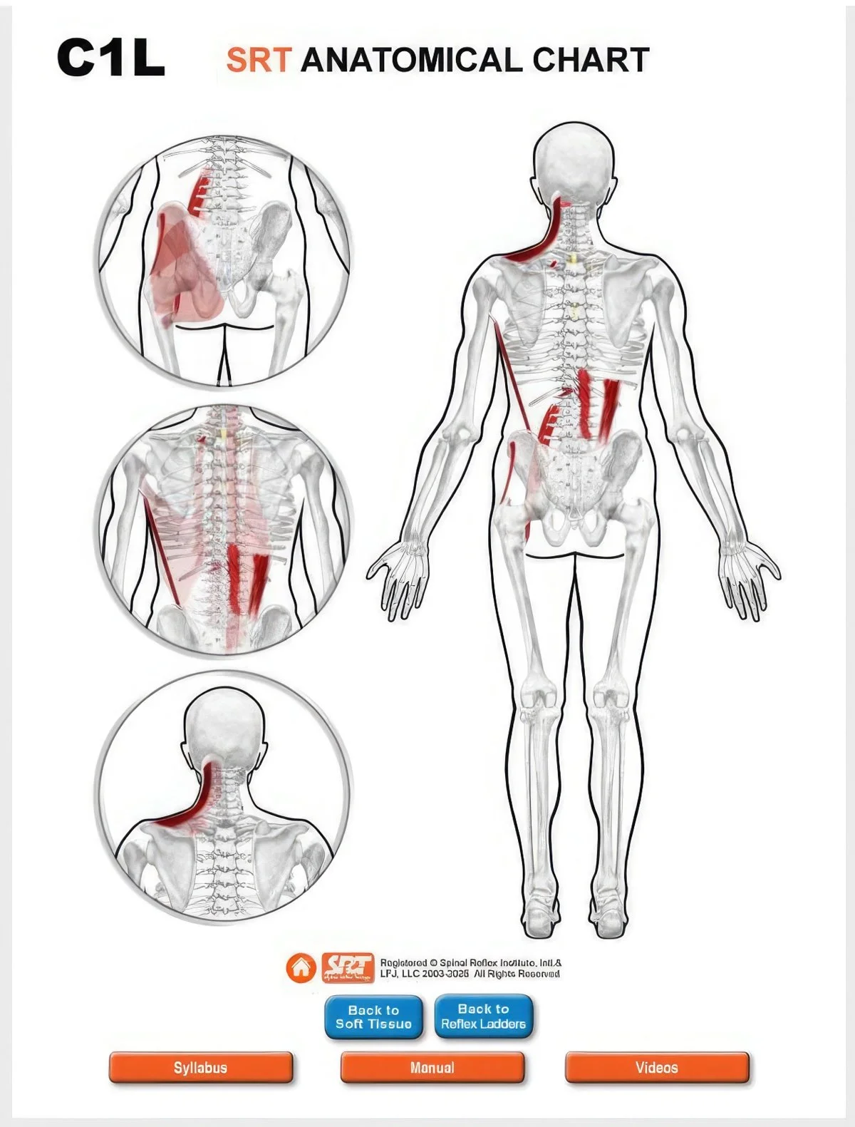 SRT Web App Anat C1-standard-width-1200px.jpg