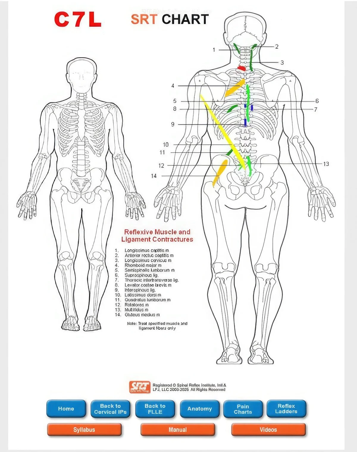 SRT Web App Bio C7-standard-width-1200px.jpg