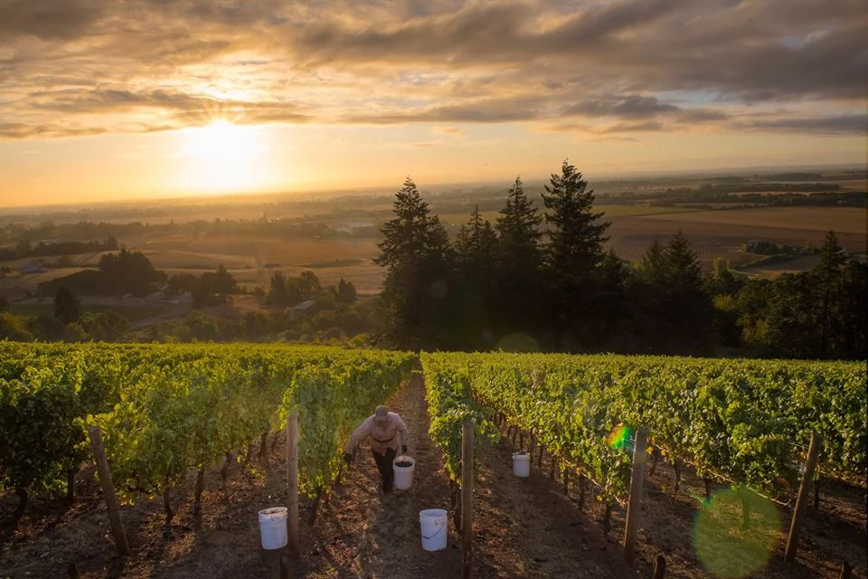 Source: Cristom Vineyards