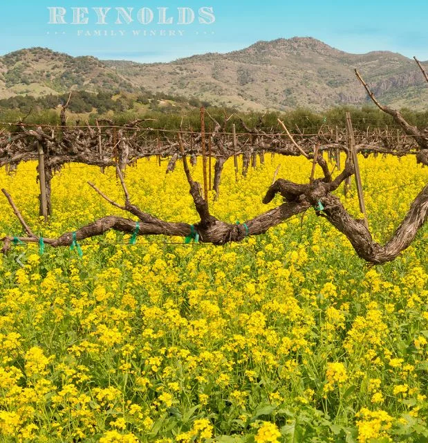 Source: Reynolds Family Winery