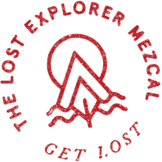 The Lost Explorer Logo.png