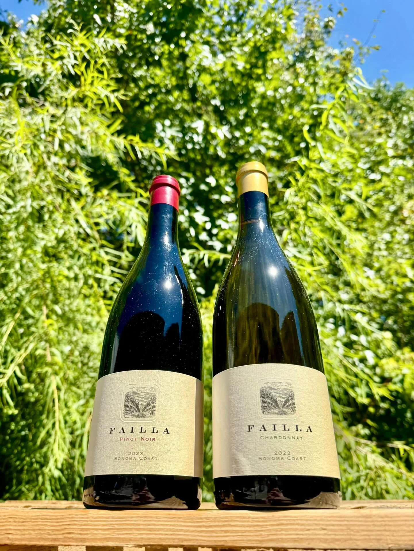 From brilliant Chardonnay to bold Pinot Noir, Failla captures the spirit of California’s most expressive vineyards. Every bottle tells a story of place, passion, and craftmanship. ππ·
Now expanding to NC!
#faillavineyards #californiawine #pin