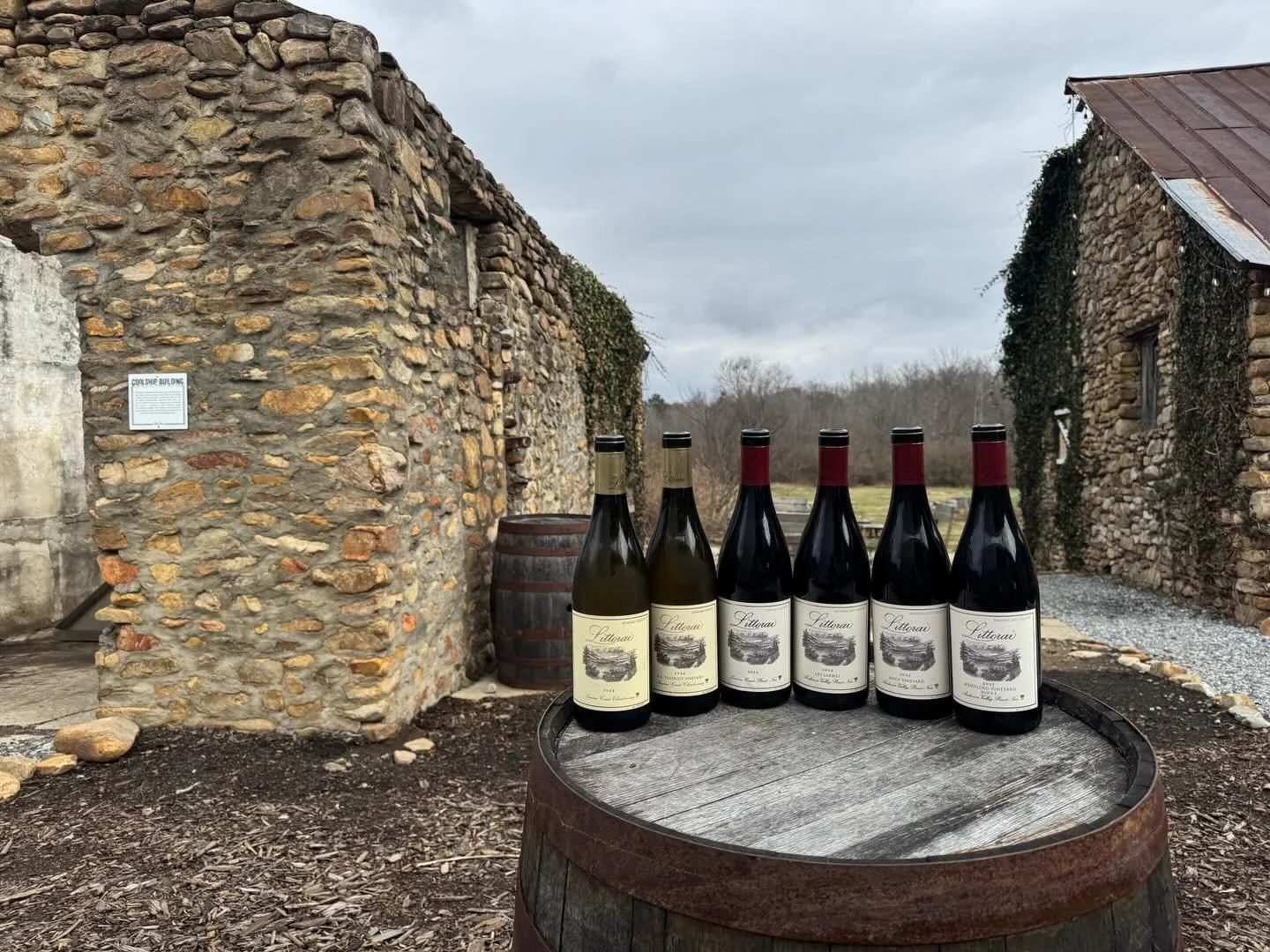 @littorai sets the standard for site-driven Chardonnay and Pinot Noir from Sonoma County and Anderson Valley. Founded by Ted Lemon, Littorai has long championed biodynamic farming and minimal-intervention winemaking, letting each vineyard&rsquo;s soi