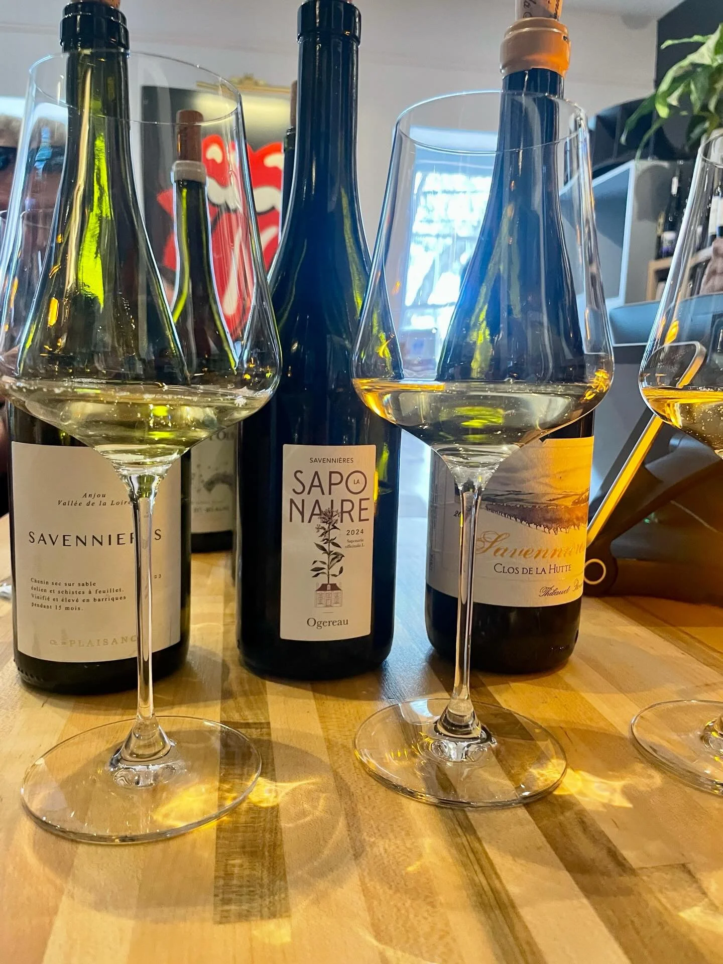 Savenni&egrave;res is one of the Loire Valley&rsquo;s most distinctive homes for Chenin Blanc. Steep slopes of schist overlooking the Loire River produce wines known for their structure, mineral tension, and remarkable aging potential.

Producers lik