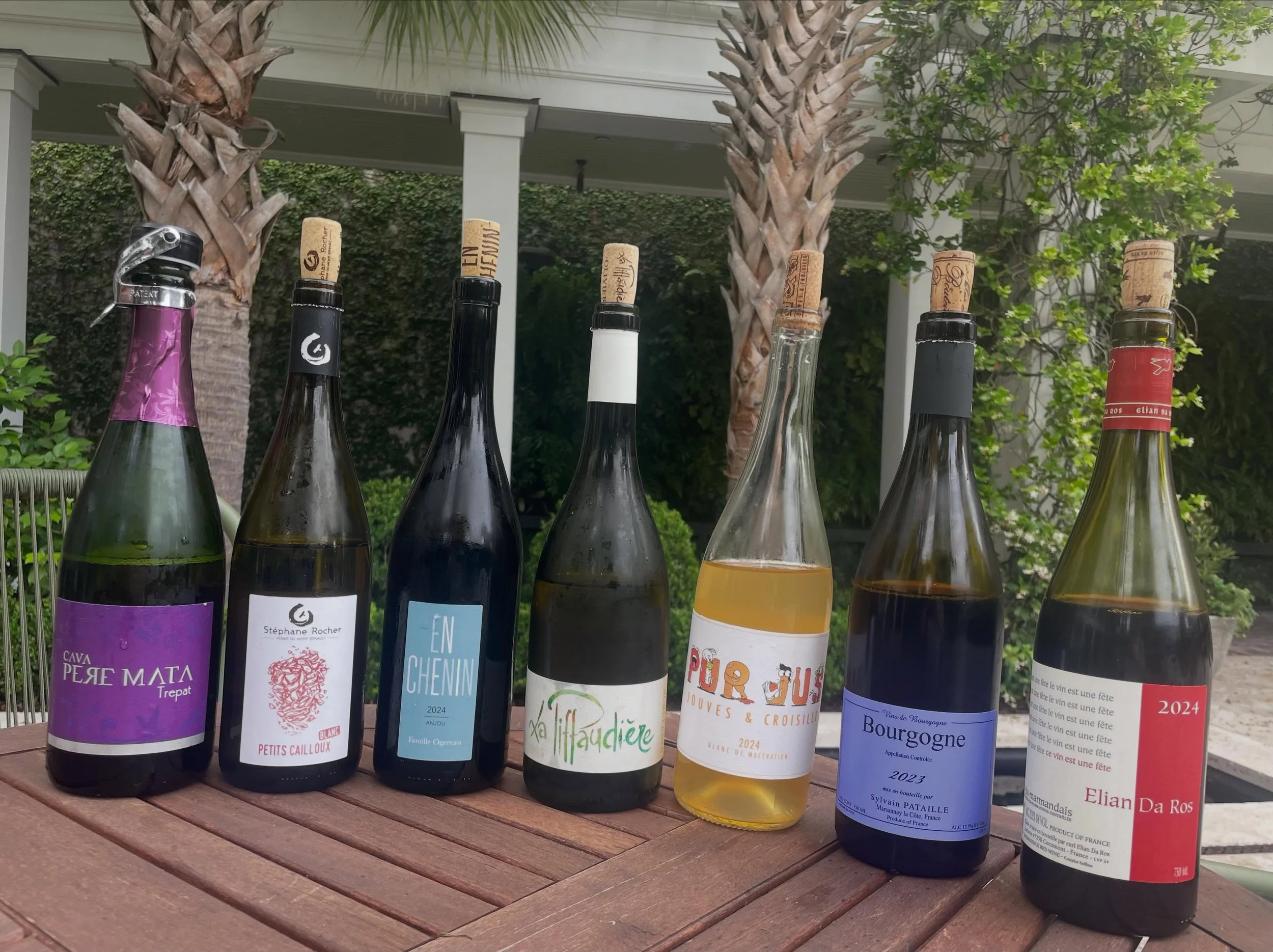 Imported arrivals, wild energy, and bottles built for spring nights 🍷✨

From the electric sparkle of Pere Mata Cave Trepat Ros&eacute; Brut Reserva &lsquo;24 to the pure Loire freshness of St&eacute;phane Rocher &ldquo;Petits Cailloux&rdquo; Blanc a