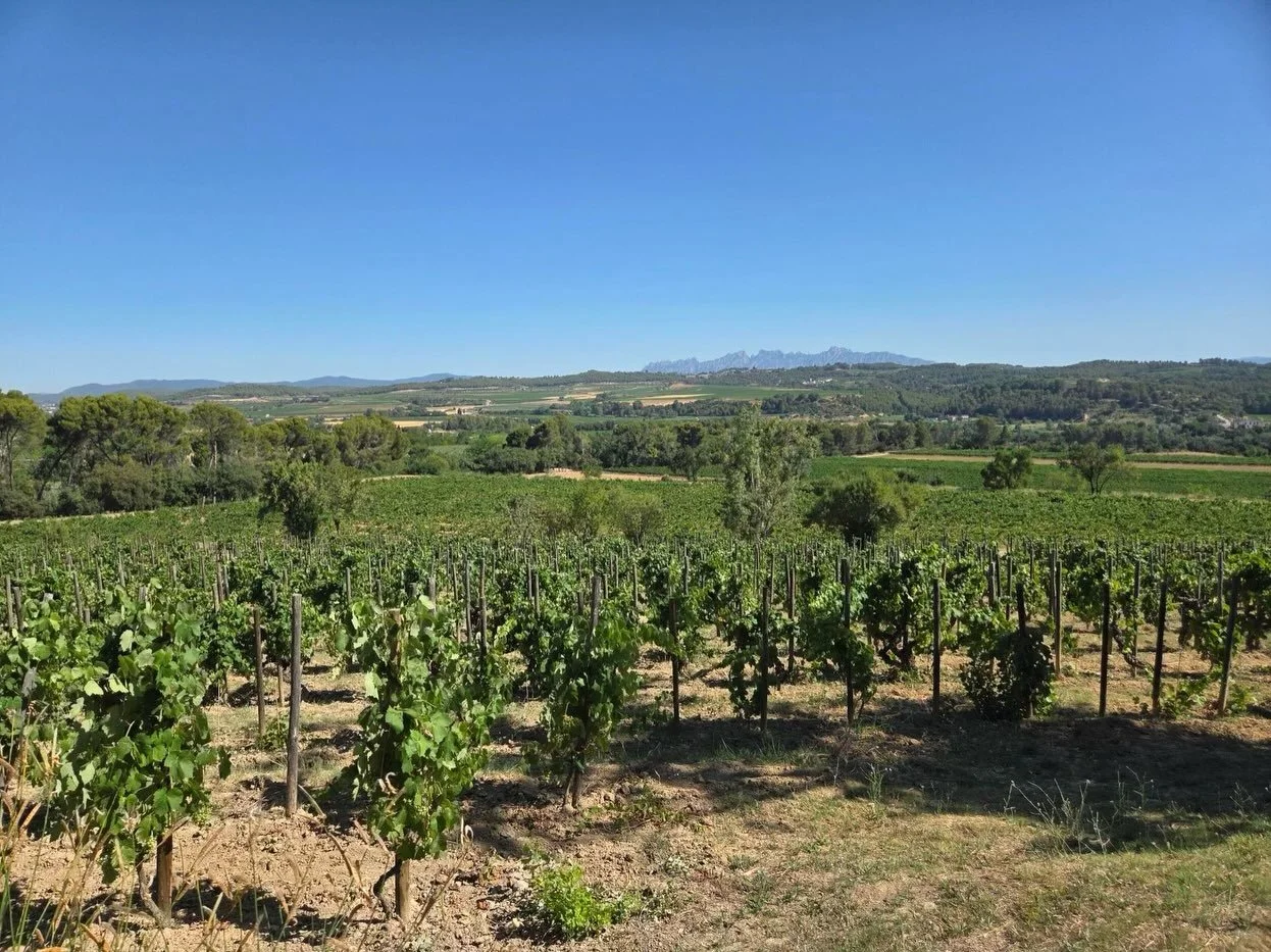 From the ancient limestone soils of Ravent&oacute;s i Blanc to the rugged mountain vineyards of Can Sumoi, a couple of our sales team members recently had the chance to experience these remarkable estates firsthand.

What makes these wineries so spec