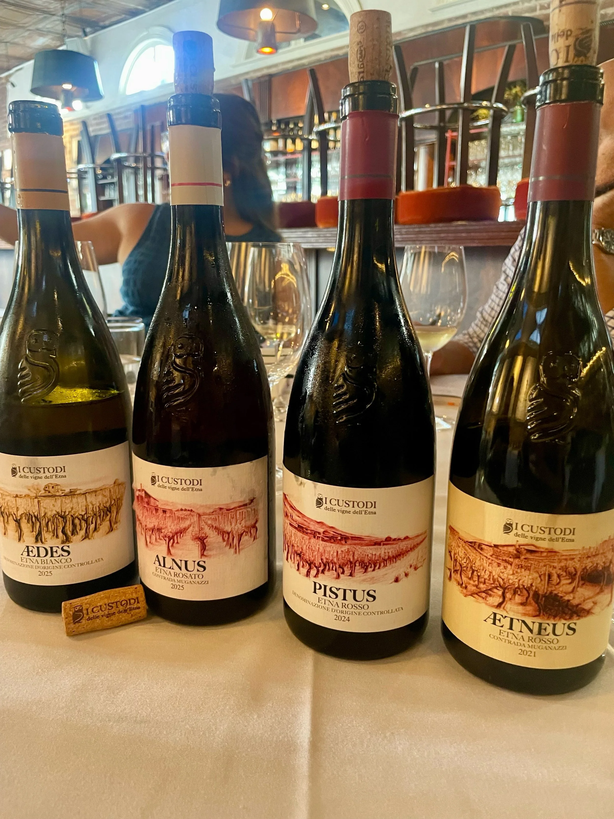 Four wines, one volcano. 🌋
Aedus 2025, Alnus 2025, Pistus 2024 and Aetnas 2021, each from I Custodi, shaped by the volcanic soils and high-altitude vineyards of Mount Etna.
Which one are you pouring first?

#ICustodi #EtnaWine #SicilianWine #advinta