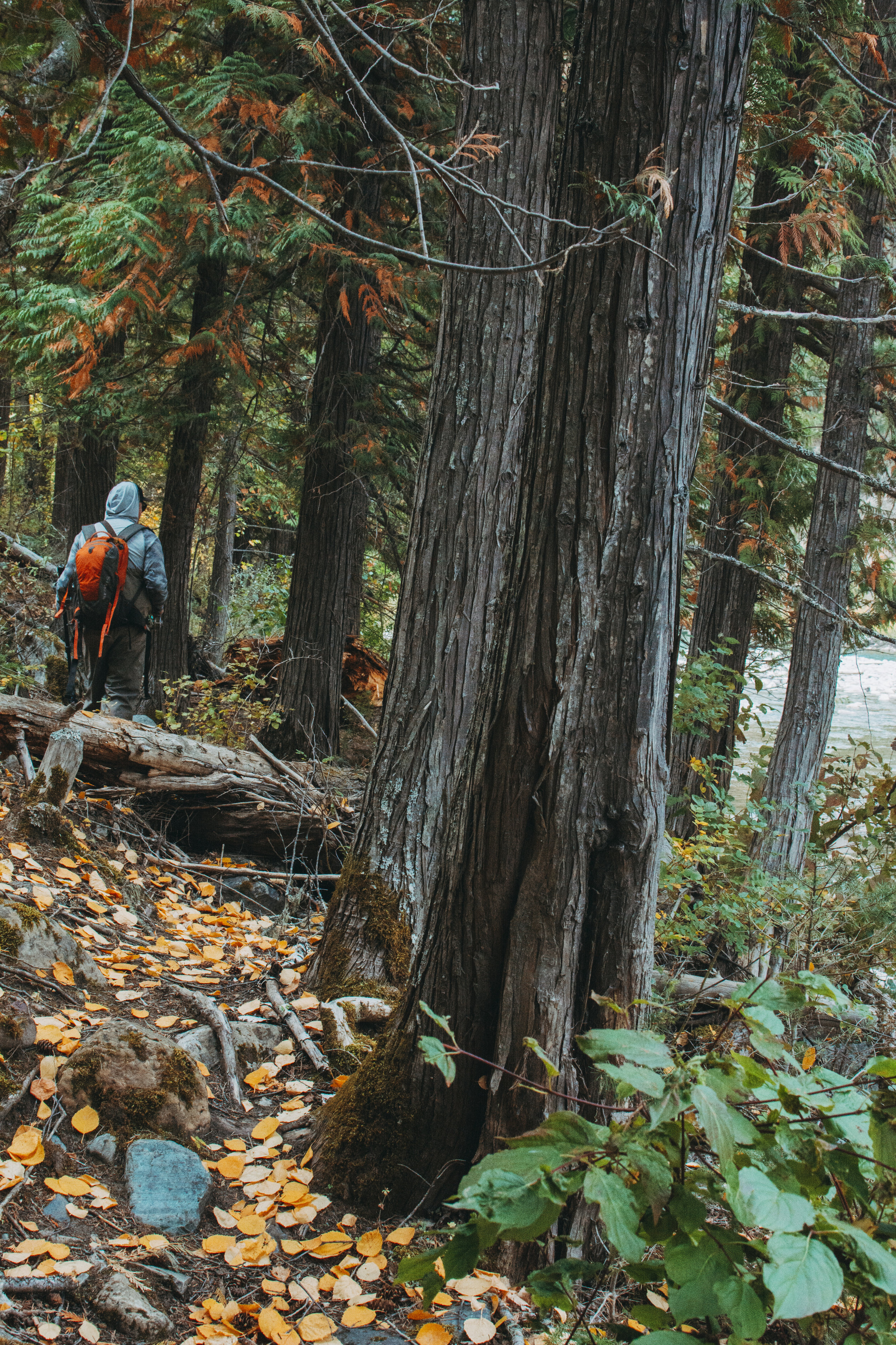 _DSC4112091.jpg