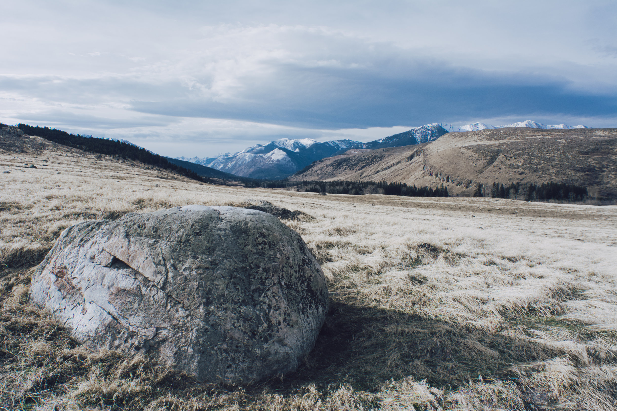 _DSC7386.jpg
