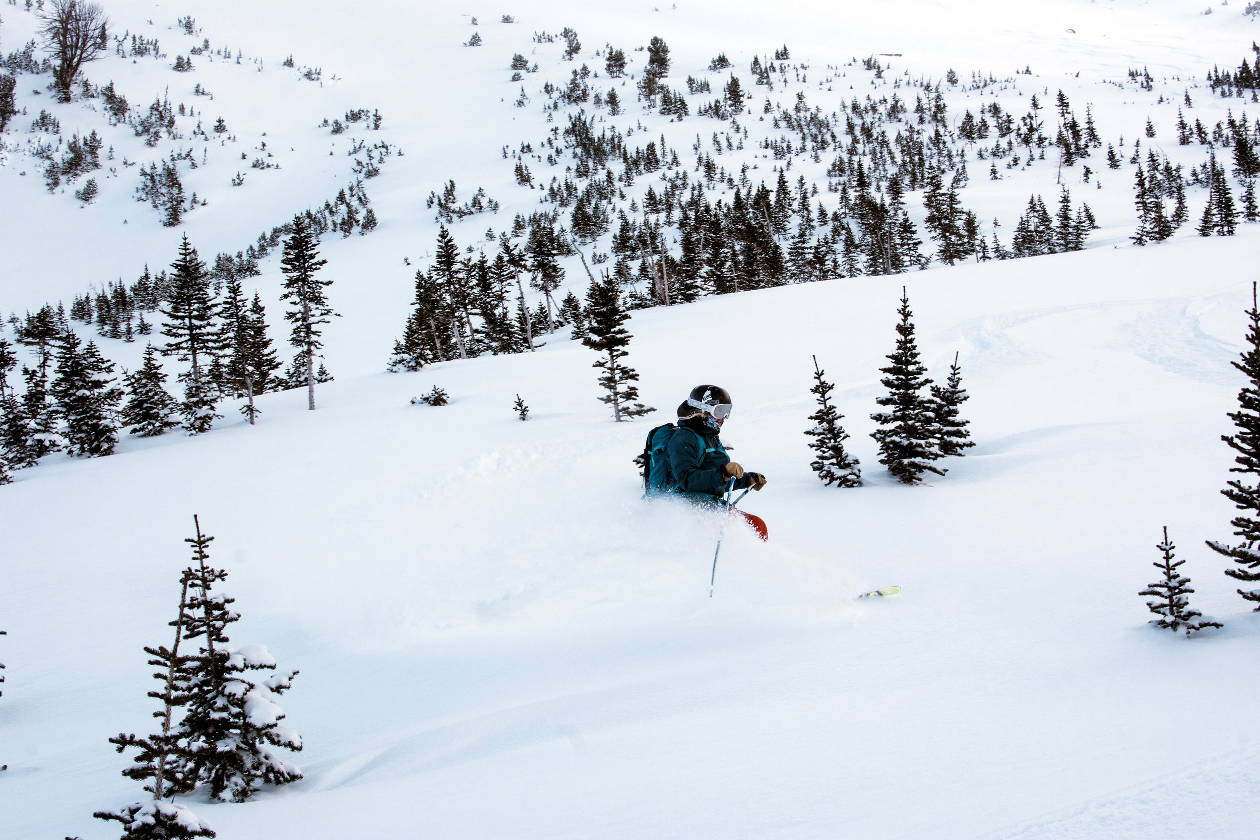 _DSC8075.jpg