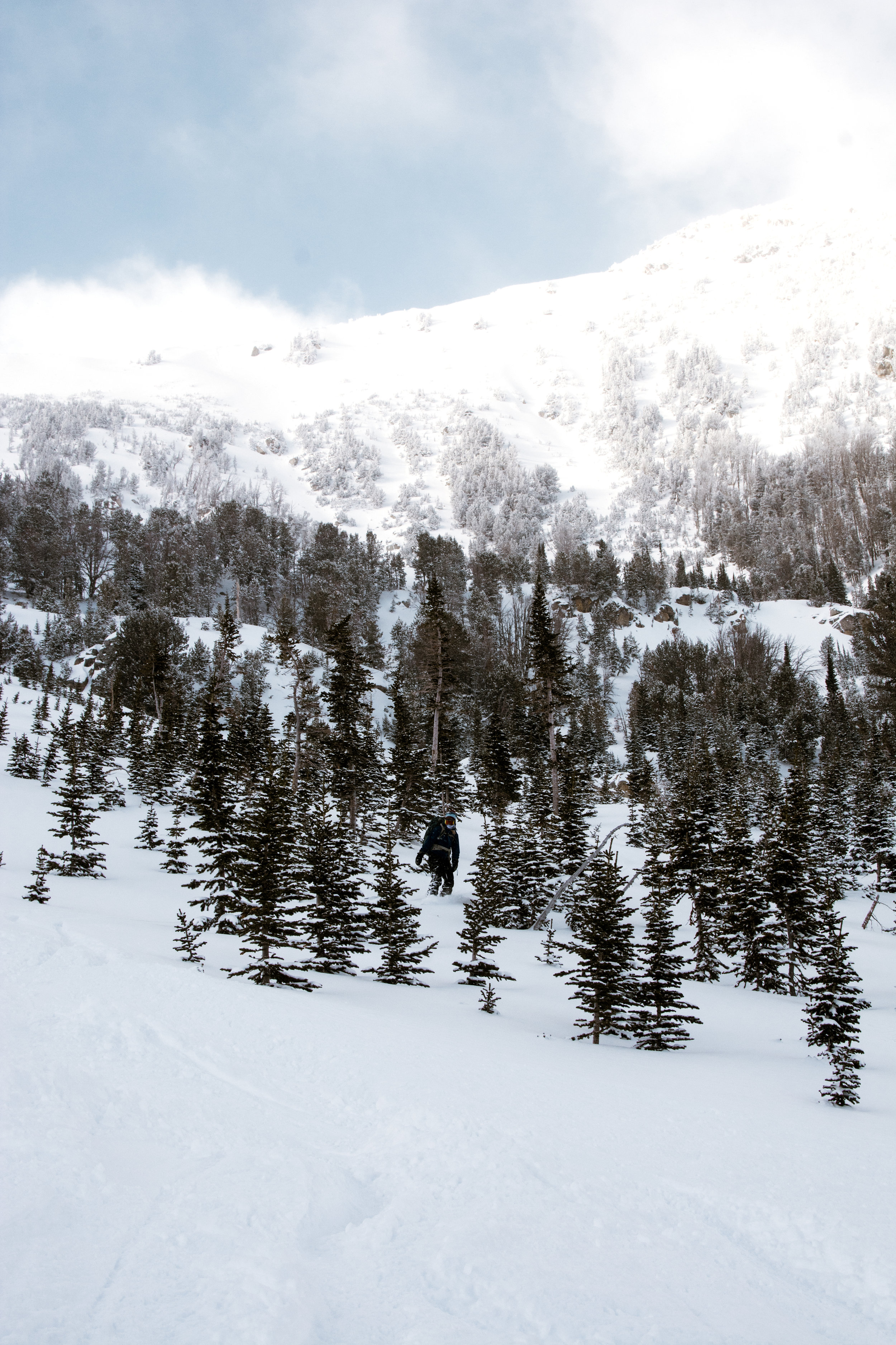 _DSC8171.jpg