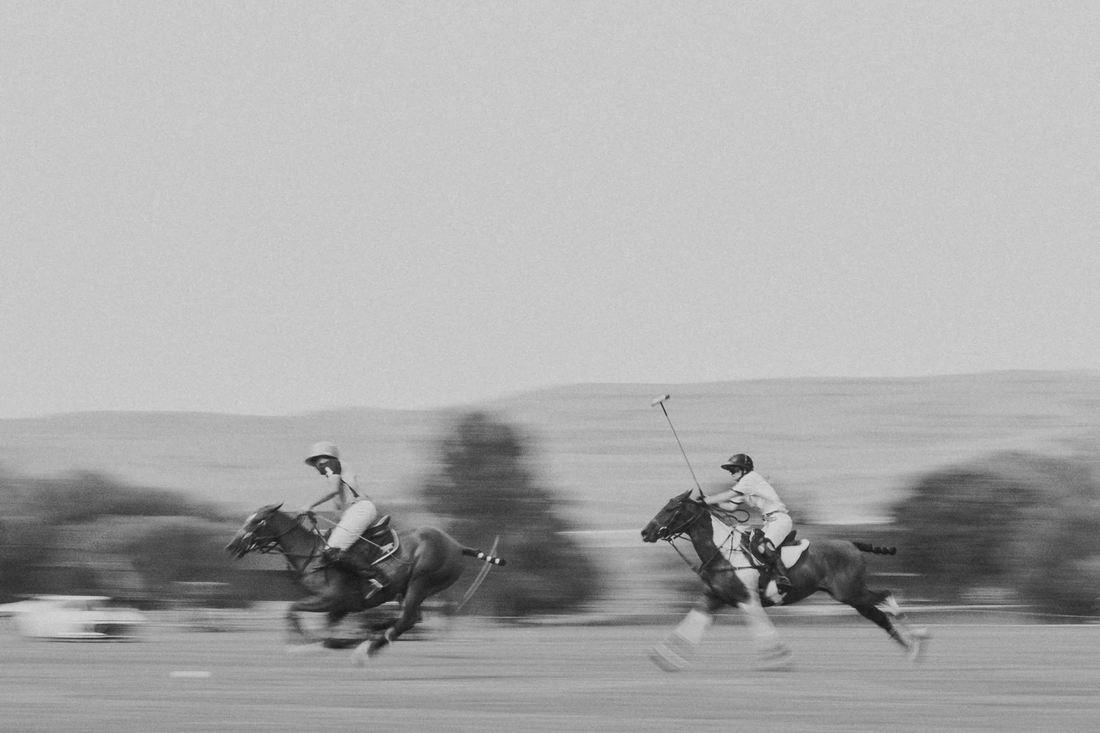 Nostrant_POLO2026_017.JPG