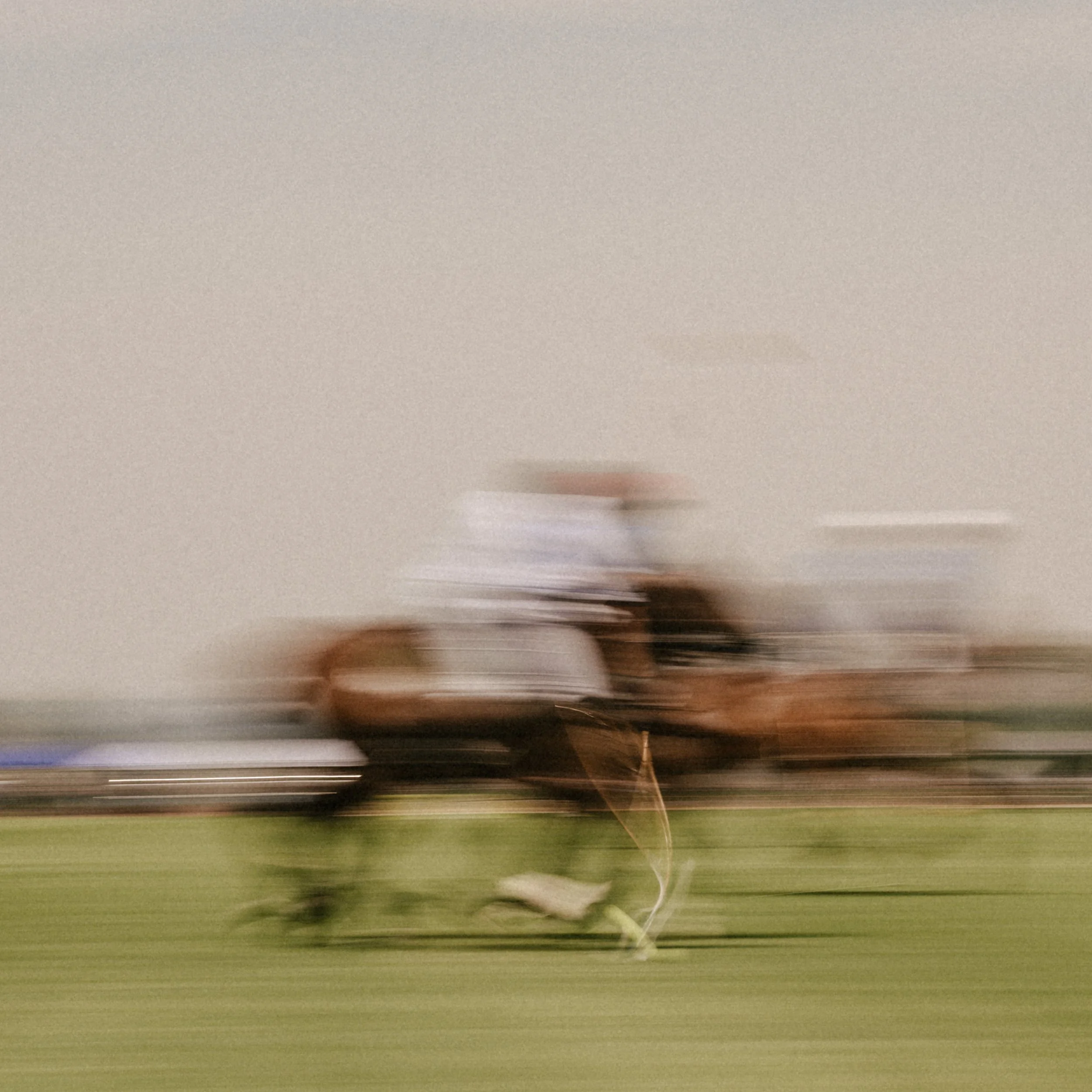 Nostrant_POLO2026_025.JPG