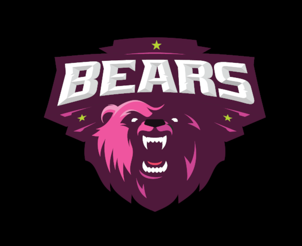 BEARS.png