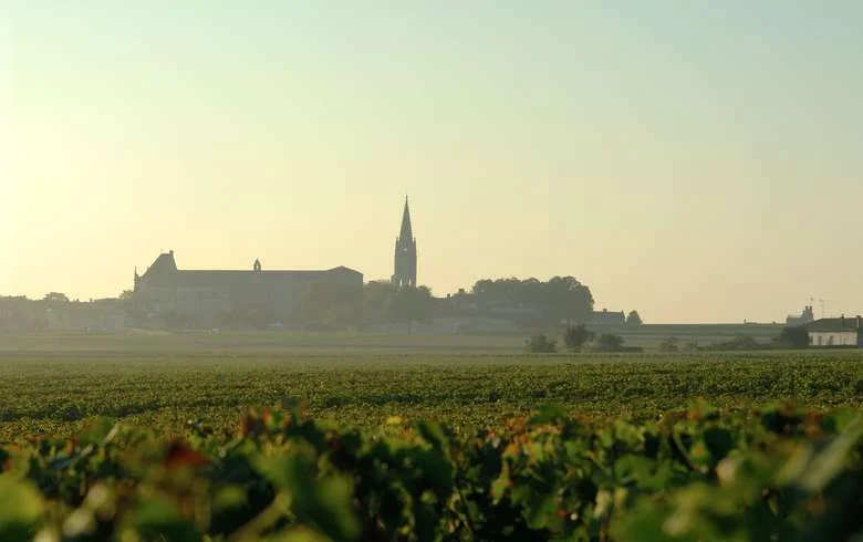 Saint-Emilion-3_format_780x490.jpg