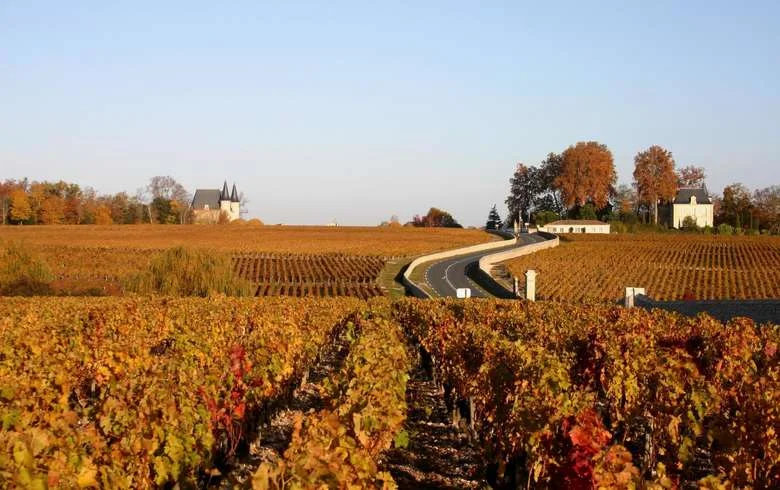 Route-des-Chateaux-a-Pauillac_format_780x490.jpg