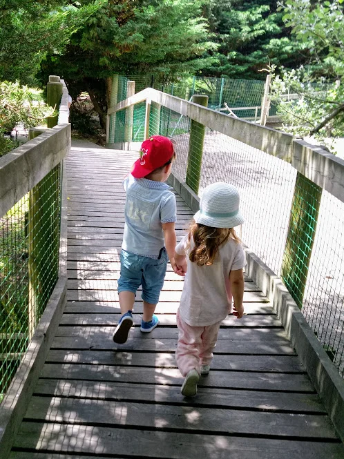 СЕМЕЙНЫЕ КАНИКУЛЫ