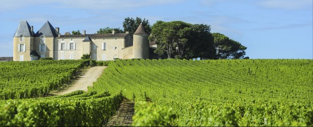 ВИННЫЕ ДОРОГИ БОРДО