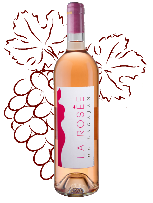rosé.png