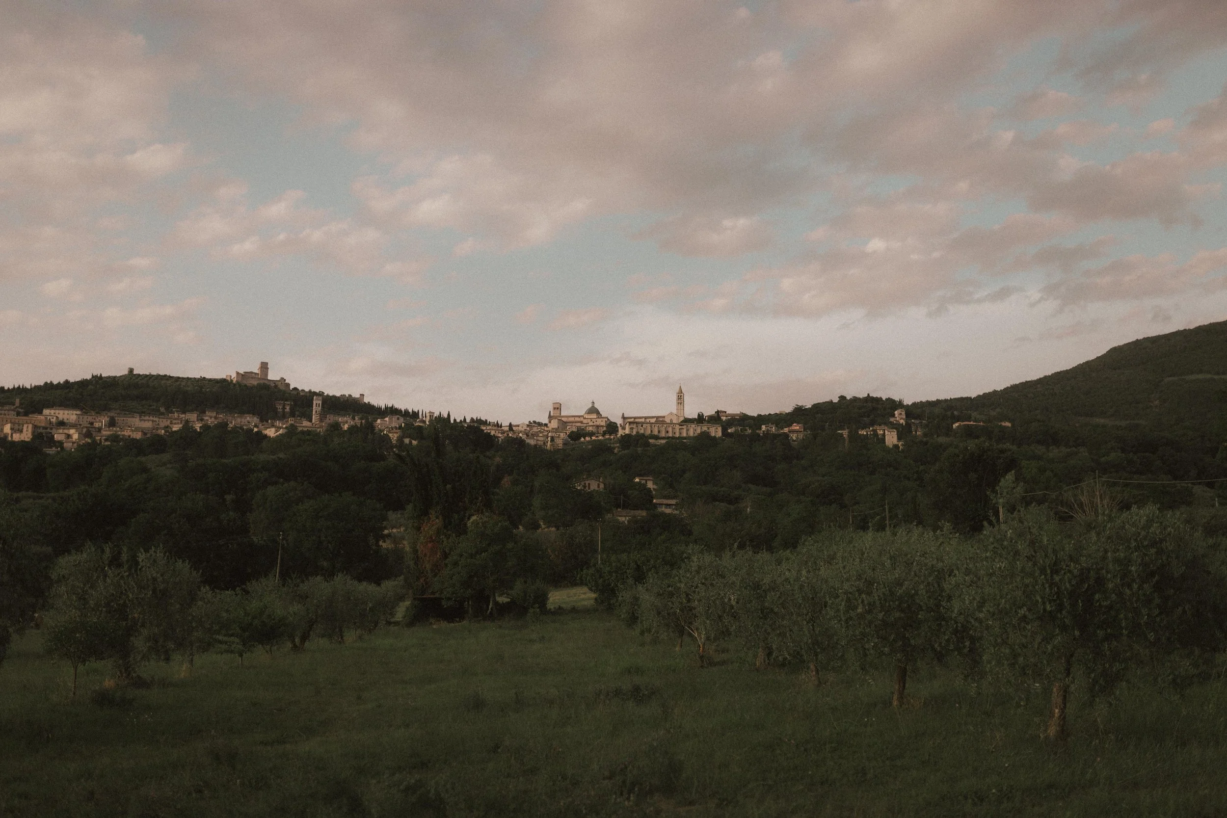 emma seckel is a <i>photographer</i>.