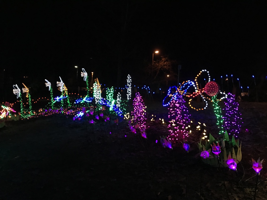 lights at lafarge review
