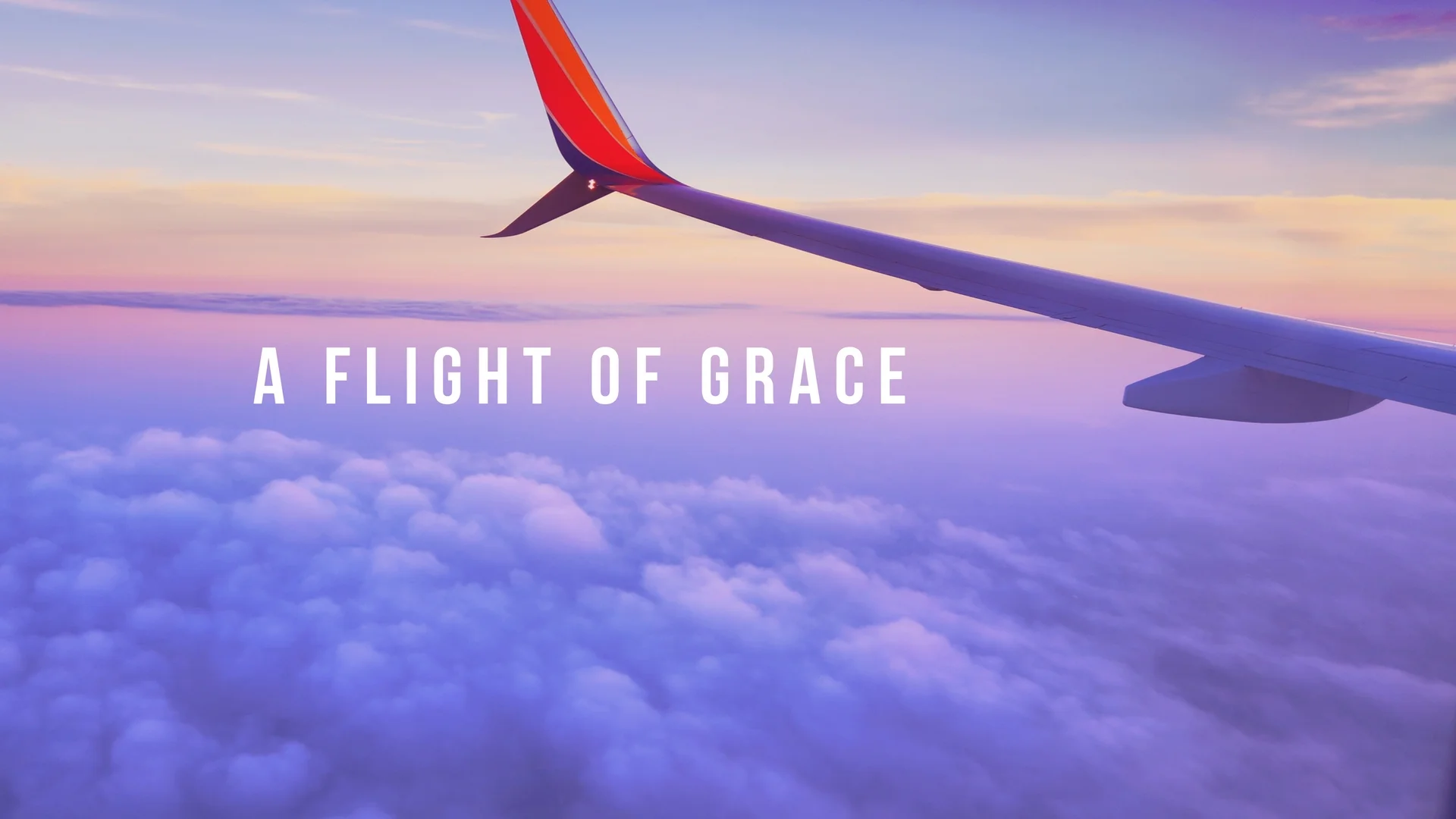a flight of grace.jpg