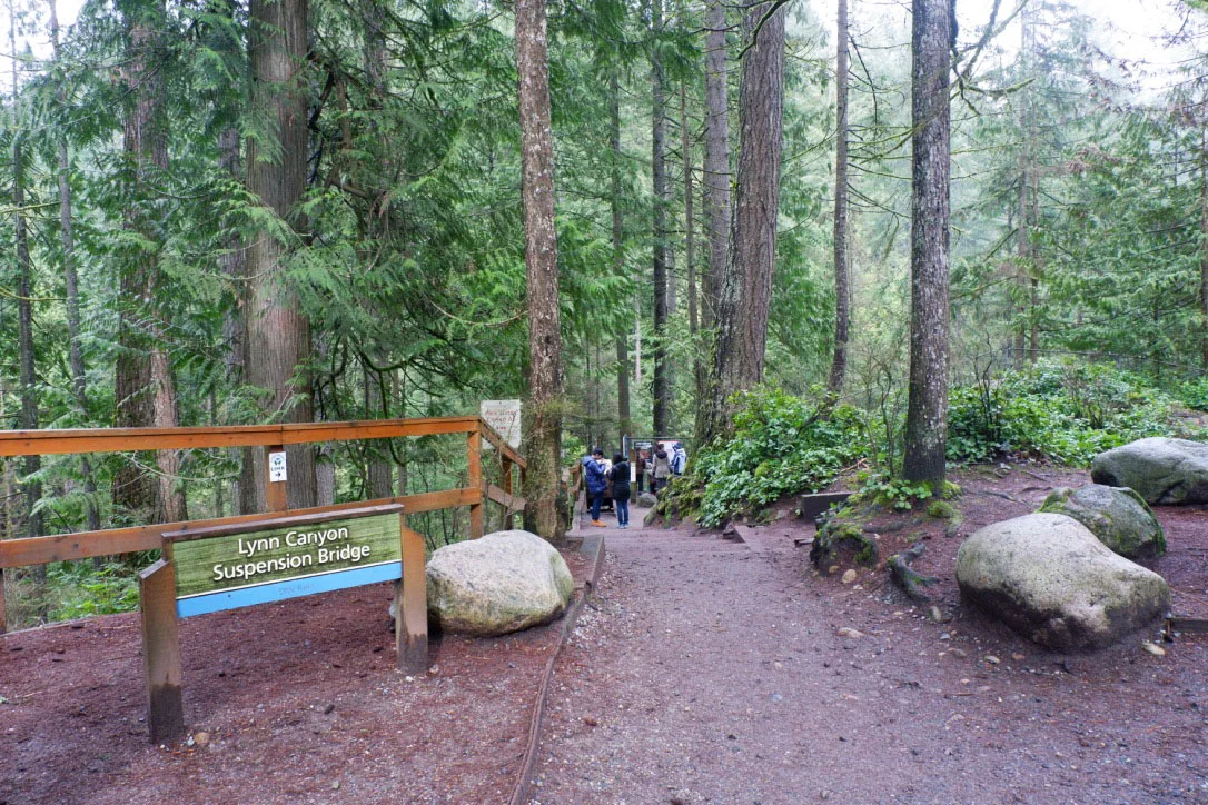 lynn-canyon-5.jpg
