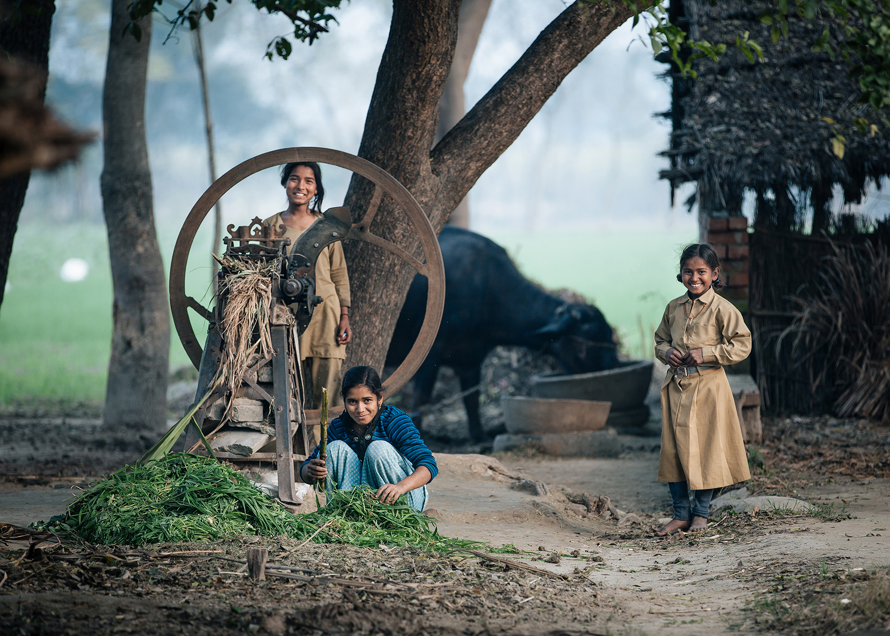 Village Girls, Uttar Pradesh, India